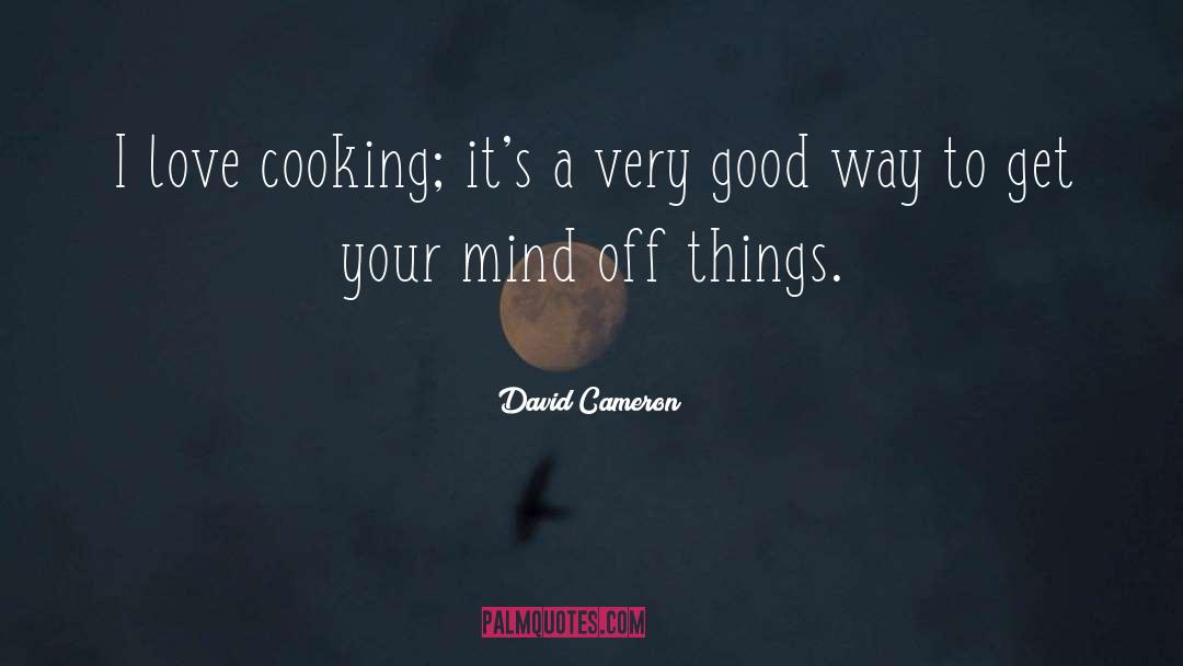 Hostel Cooking quotes by David Cameron