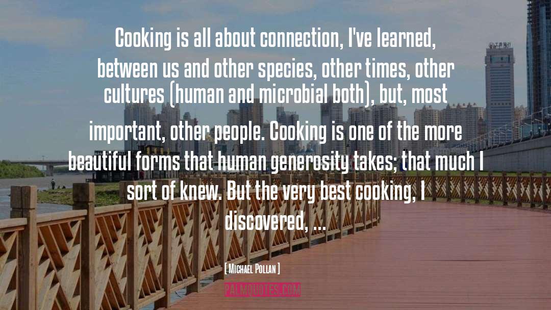 Hostel Cooking quotes by Michael Pollan