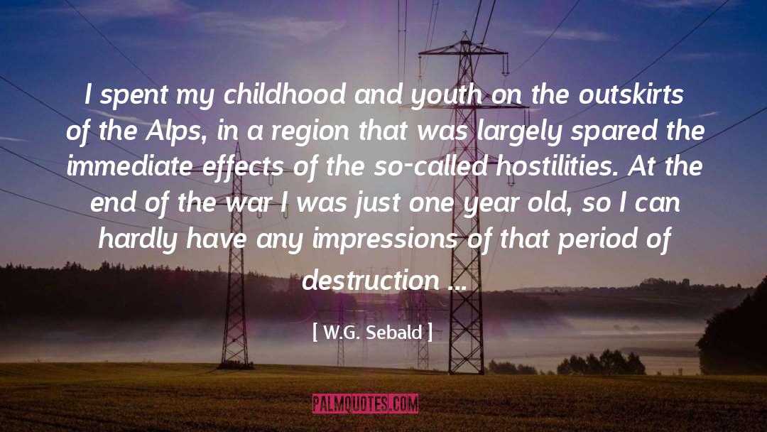 Hostilities quotes by W.G. Sebald