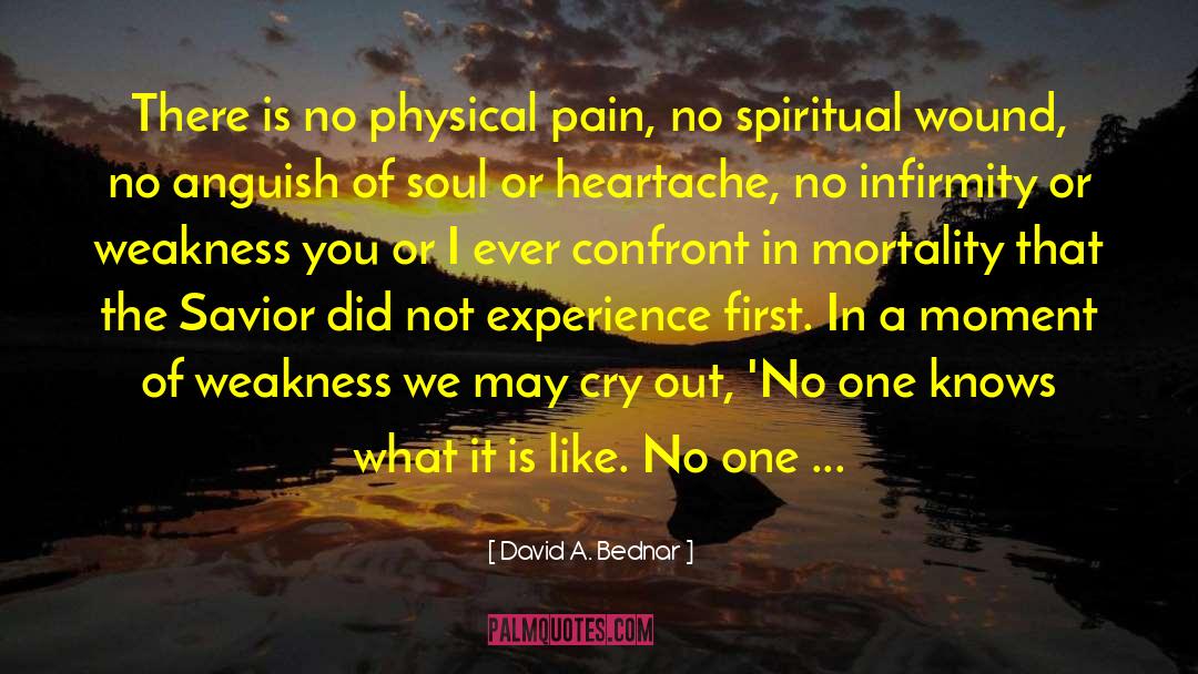 Hostility Pain quotes by David A. Bednar