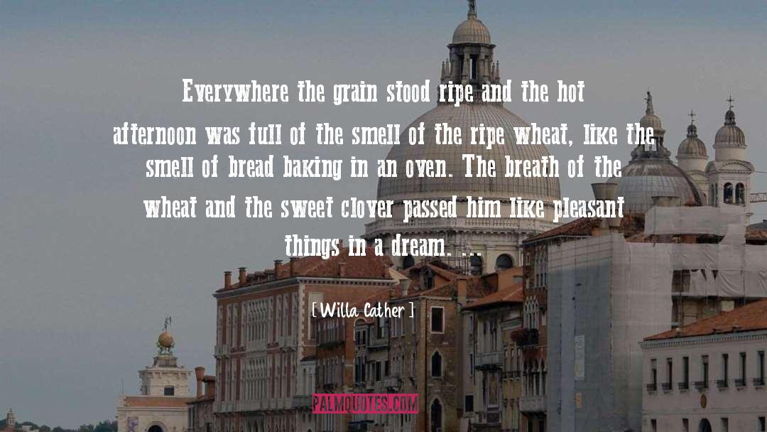 Hot Afternoon quotes by Willa Cather