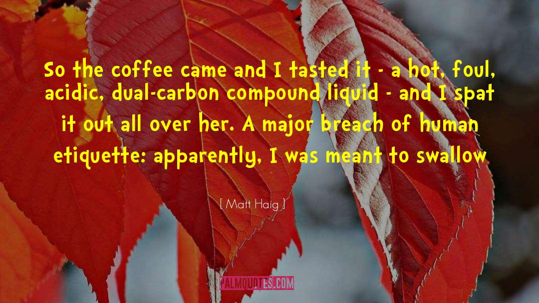 Hot Air quotes by Matt Haig