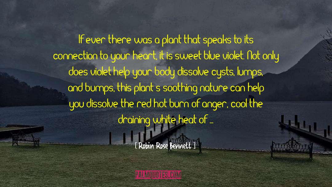 Hot Biker Chicks quotes by Robin Rose Bennett