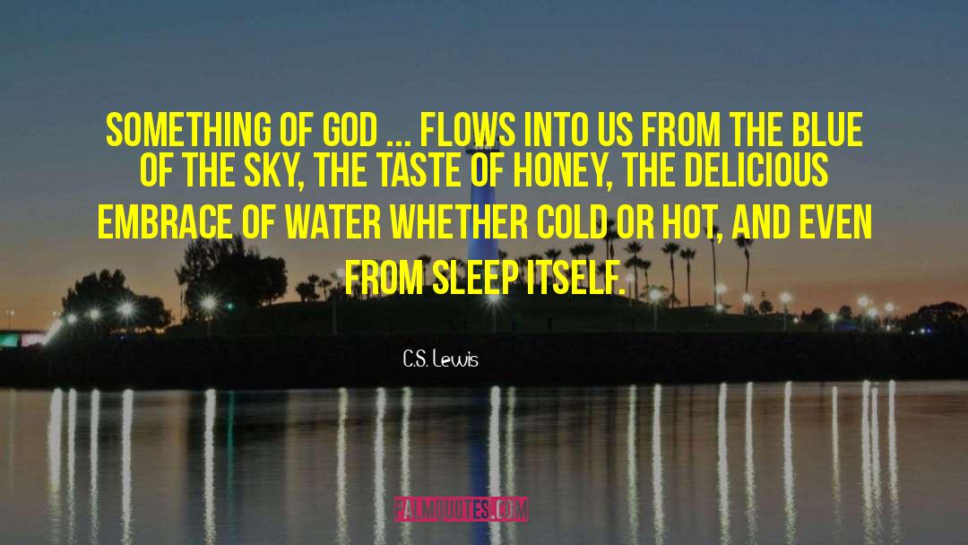 Hot Blooded quotes by C.S. Lewis