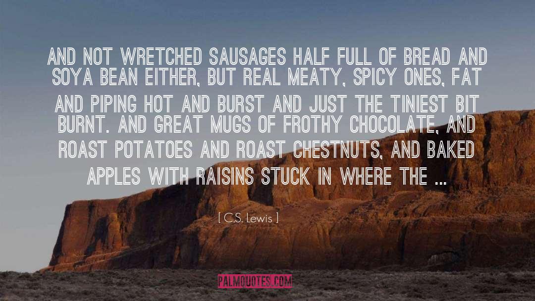 Hot Bothered quotes by C.S. Lewis