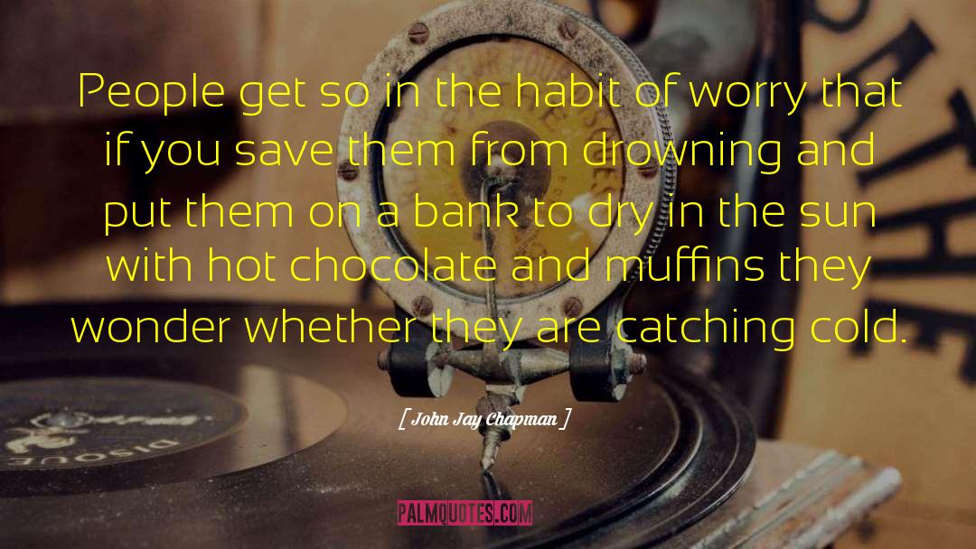 Hot Chocolate quotes by John Jay Chapman