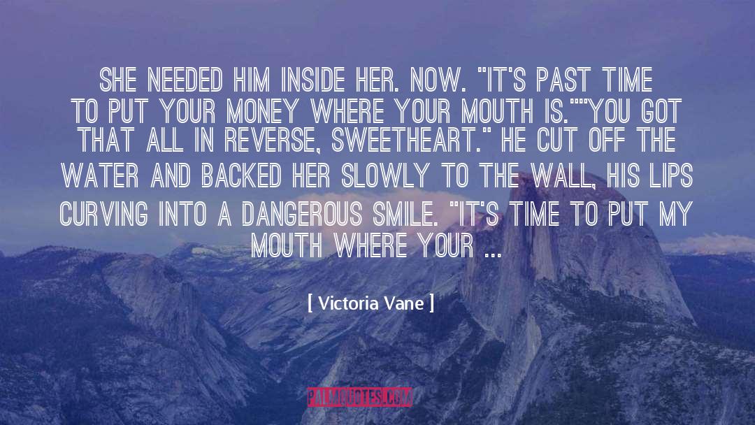Hot Cowboy Romance quotes by Victoria Vane