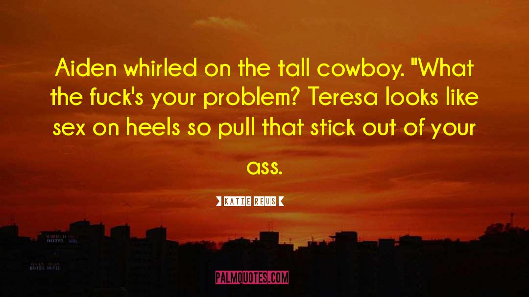 Hot Cowboy Romance quotes by Katie Reus
