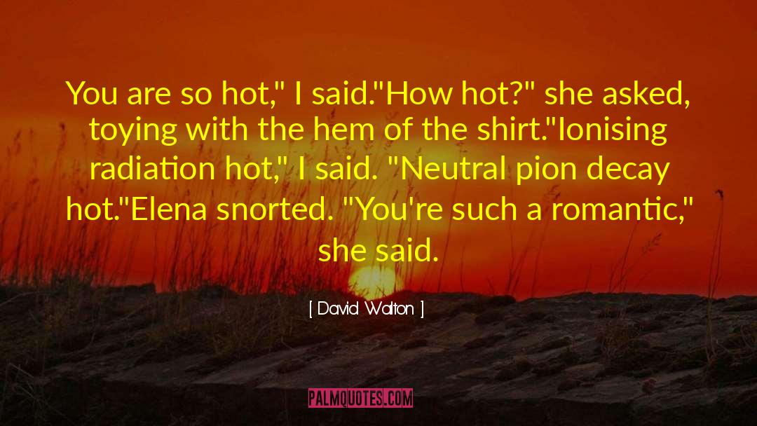 Hot Head quotes by David Walton