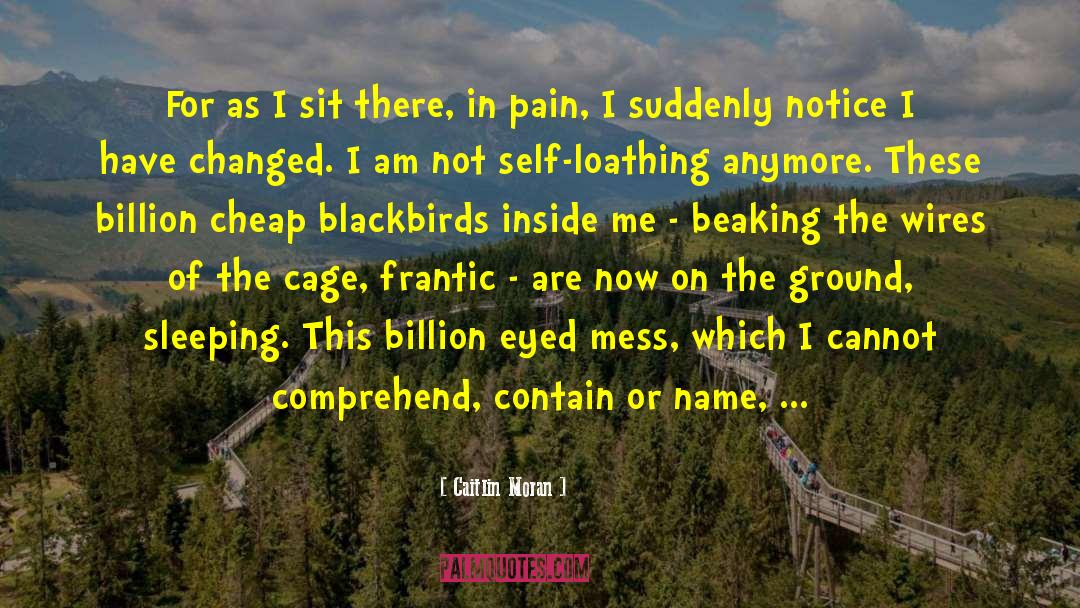 Hot Mess Charlene quotes by Caitlin Moran