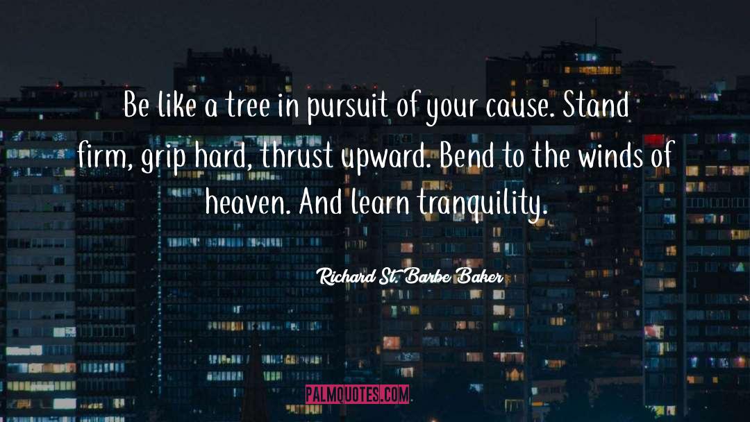 Hot Pursuit quotes by Richard St. Barbe Baker