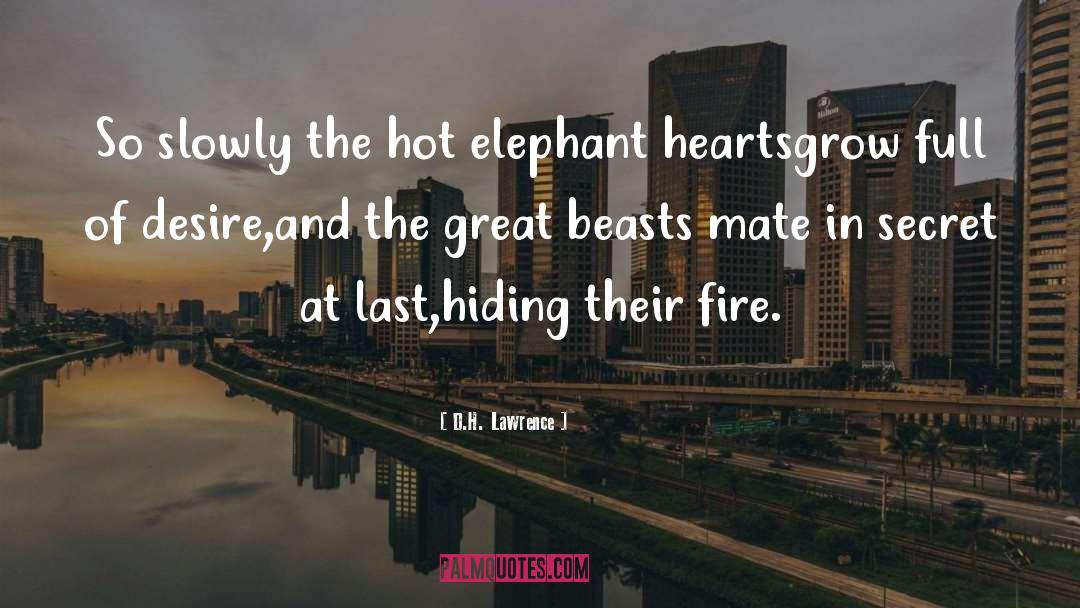 Hot Release quotes by D.H. Lawrence