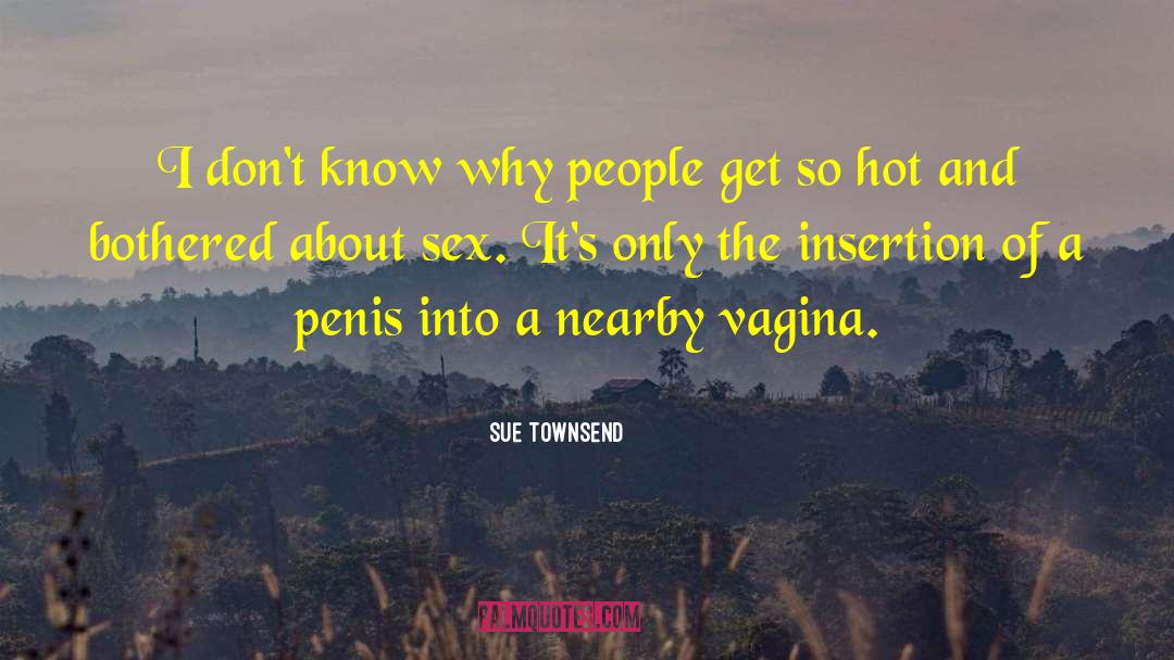 Hot Sex Scene quotes by Sue Townsend