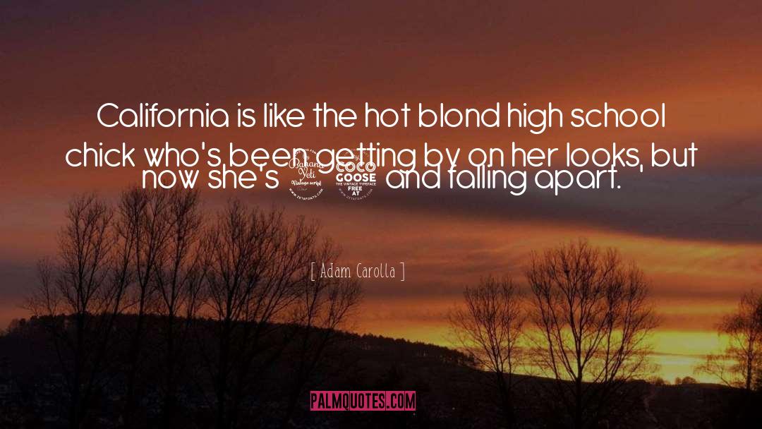 Hot Shots quotes by Adam Carolla