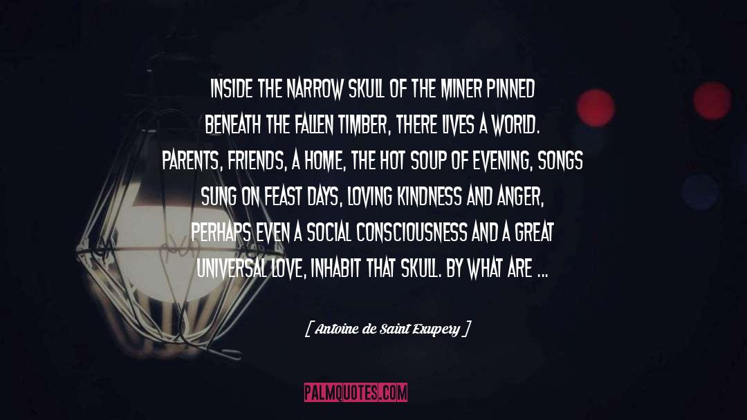 Hot Soup quotes by Antoine De Saint Exupery