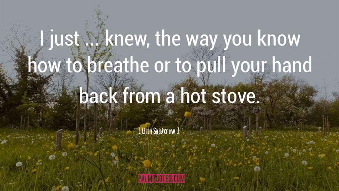 Hot Springs quotes by Lilith Saintcrow