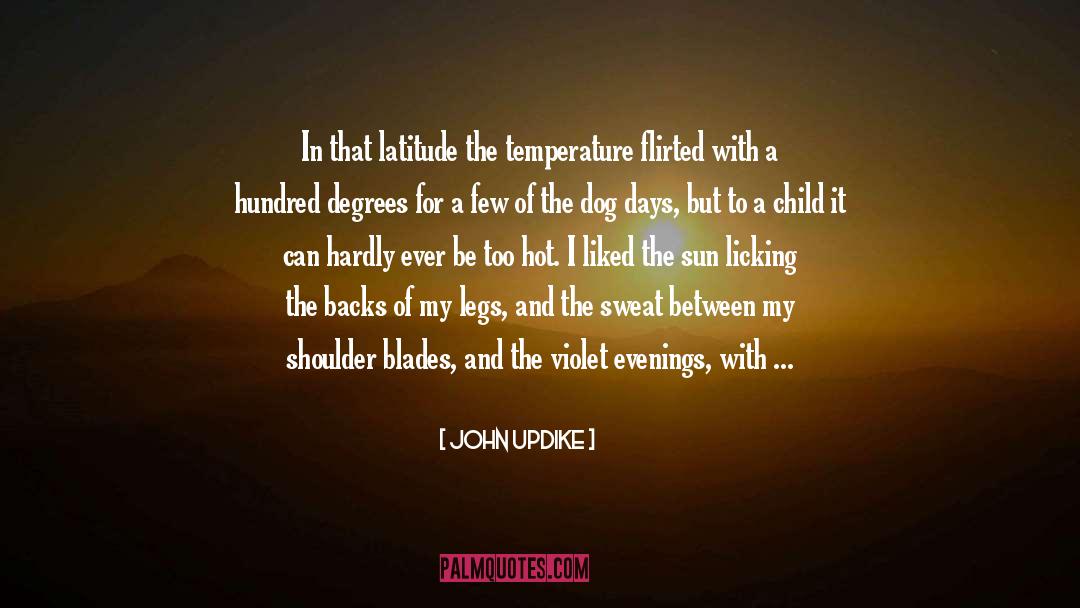 Hot Summer Days Challenge quotes by John Updike