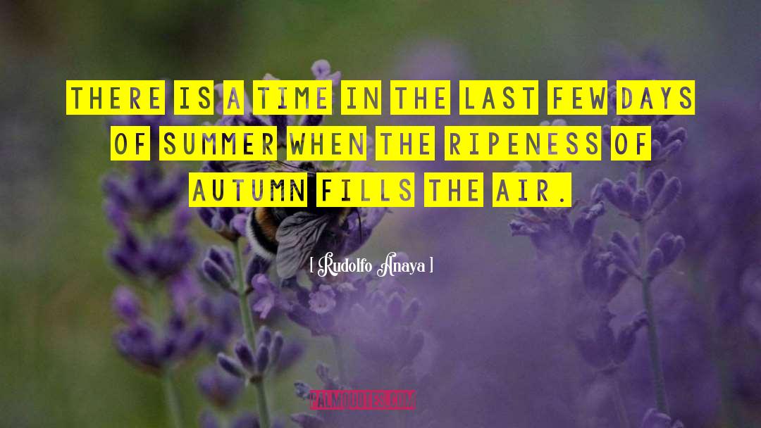 Hot Summer Days Challenge quotes by Rudolfo Anaya