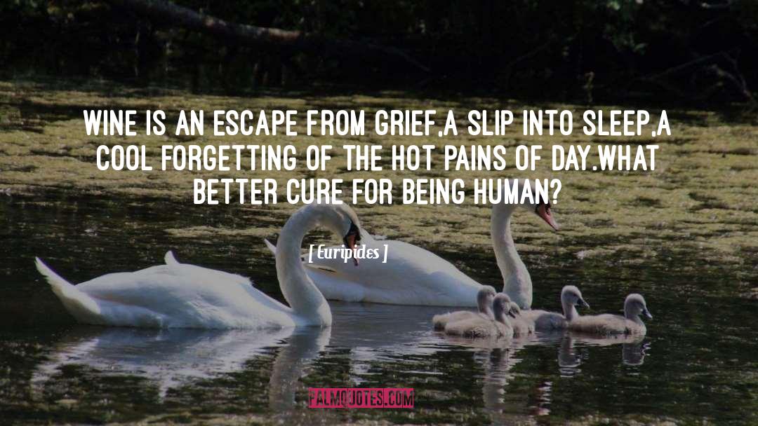 Hot Summer quotes by Euripides