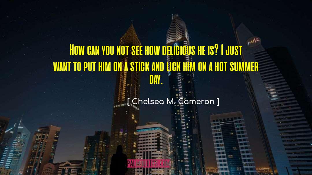 Hot Summer quotes by Chelsea M. Cameron