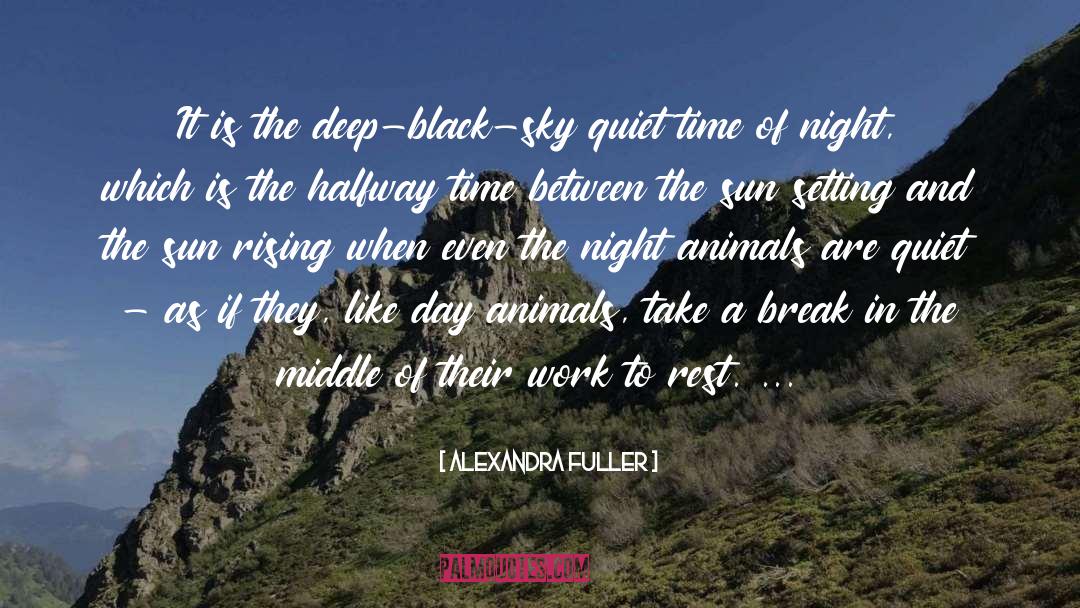 Hot Sun quotes by Alexandra Fuller