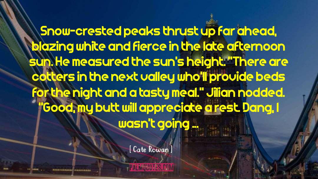 Hot Sun quotes by Cate Rowan