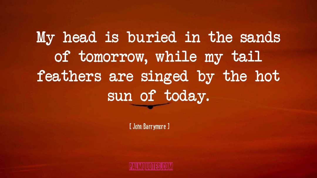 Hot Sun quotes by John Barrymore