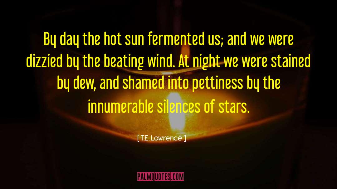 Hot Sun quotes by T.E. Lawrence