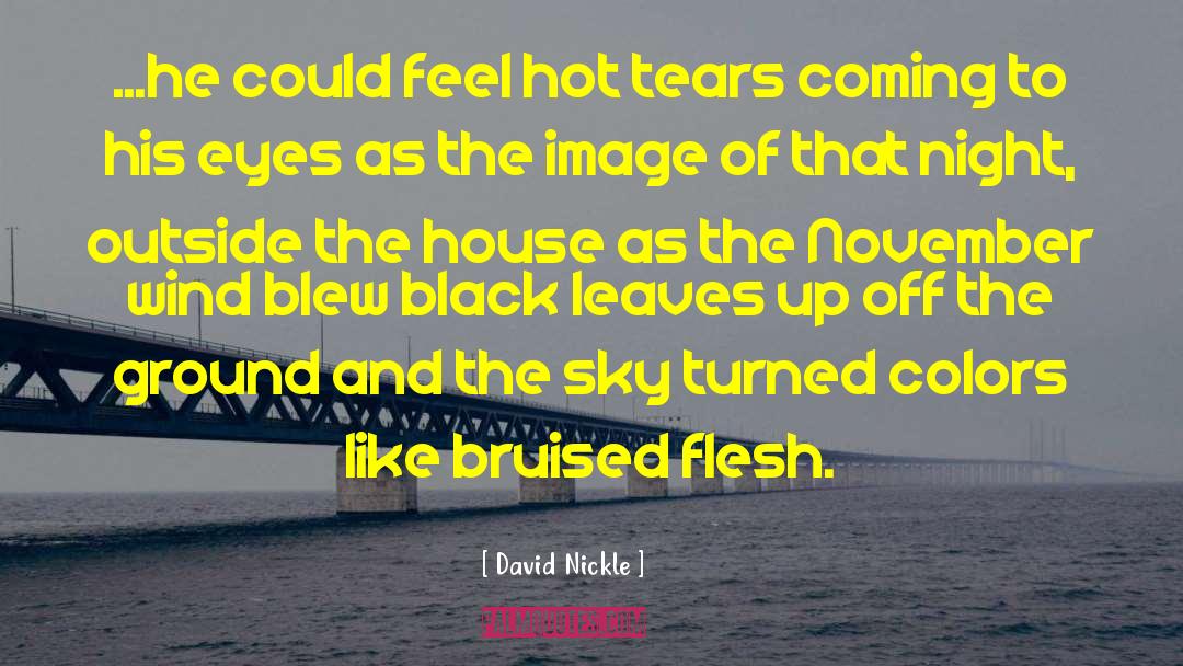 Hot Tears quotes by David Nickle