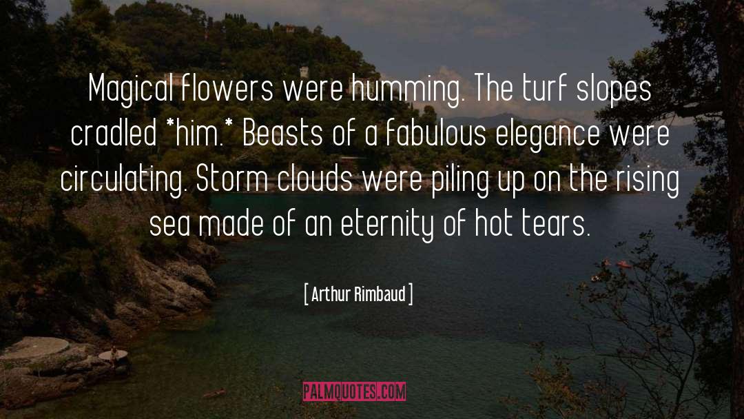 Hot Tears quotes by Arthur Rimbaud