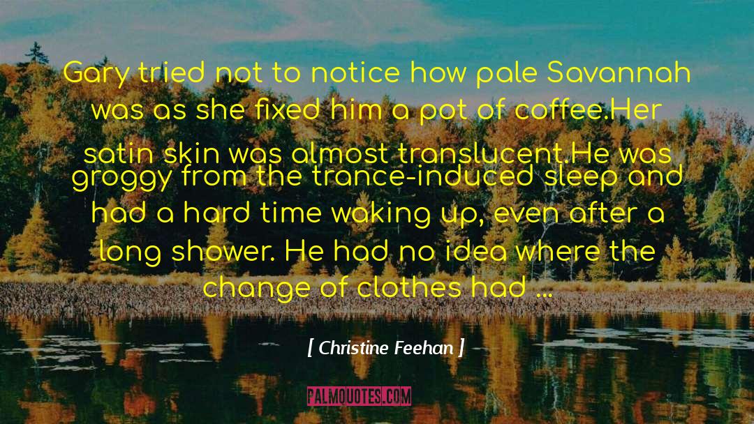 Hot Water Music quotes by Christine Feehan