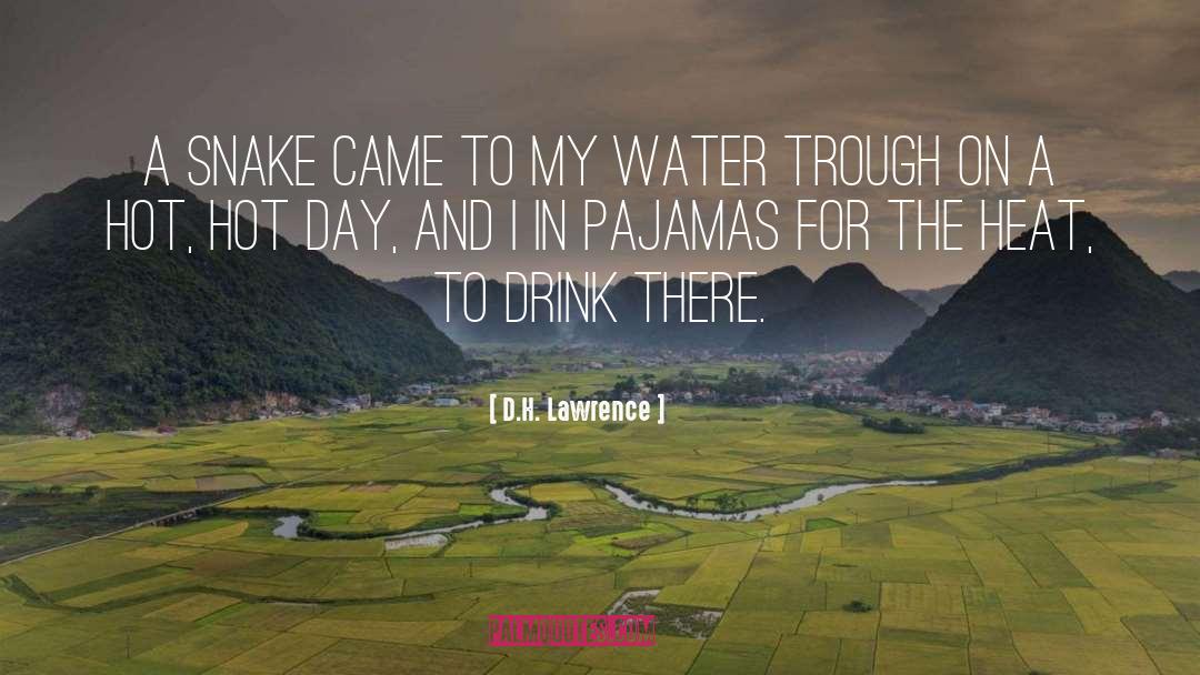 Hot Water Music quotes by D.H. Lawrence