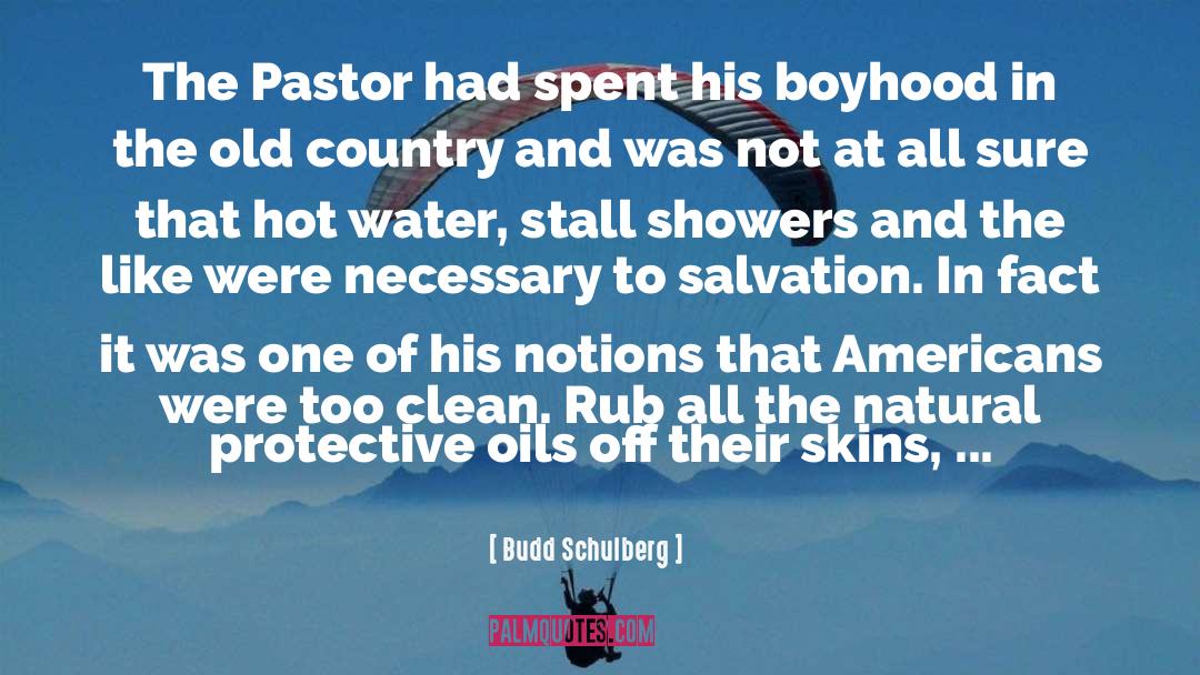 Hot Water quotes by Budd Schulberg