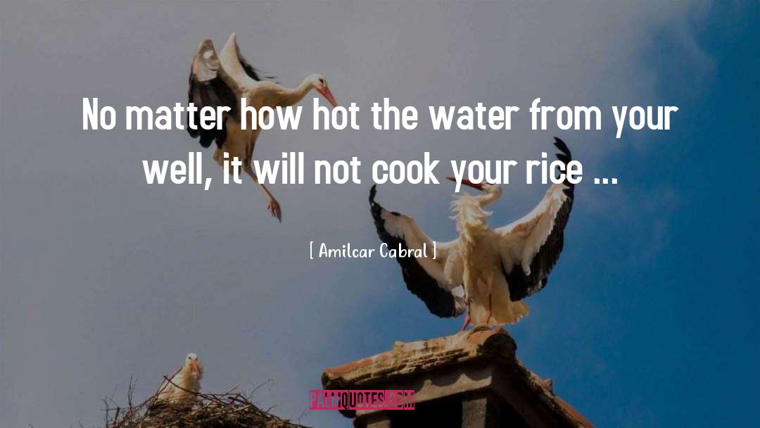 Hot Water Springs quotes by Amilcar Cabral