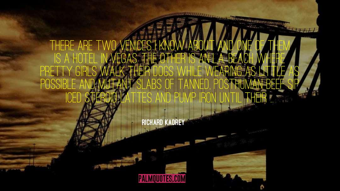 Hotel Angeline quotes by Richard Kadrey