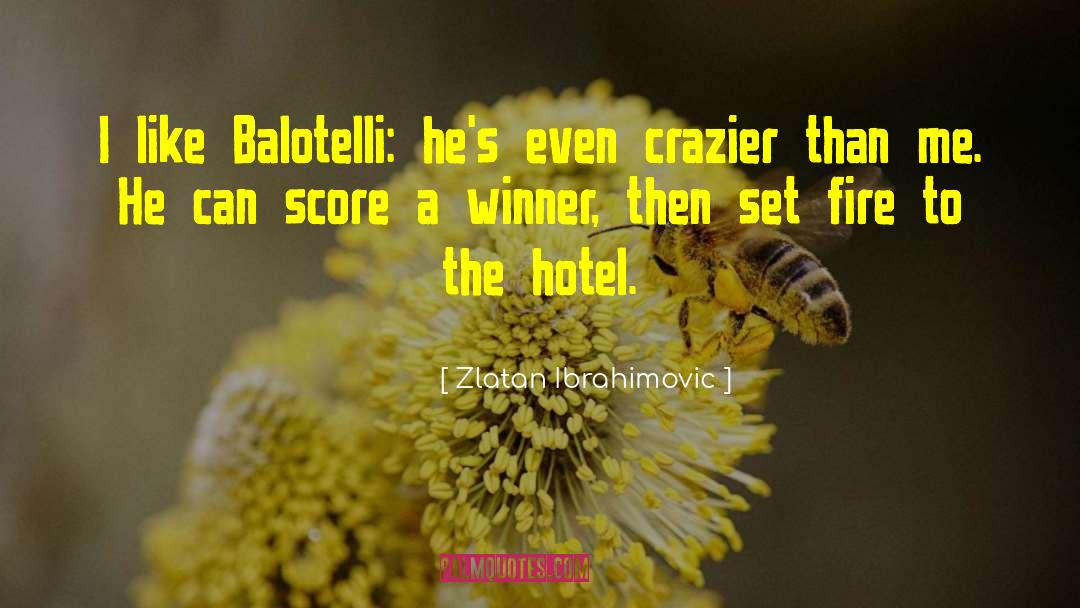 Hotel Dumort quotes by Zlatan Ibrahimovic