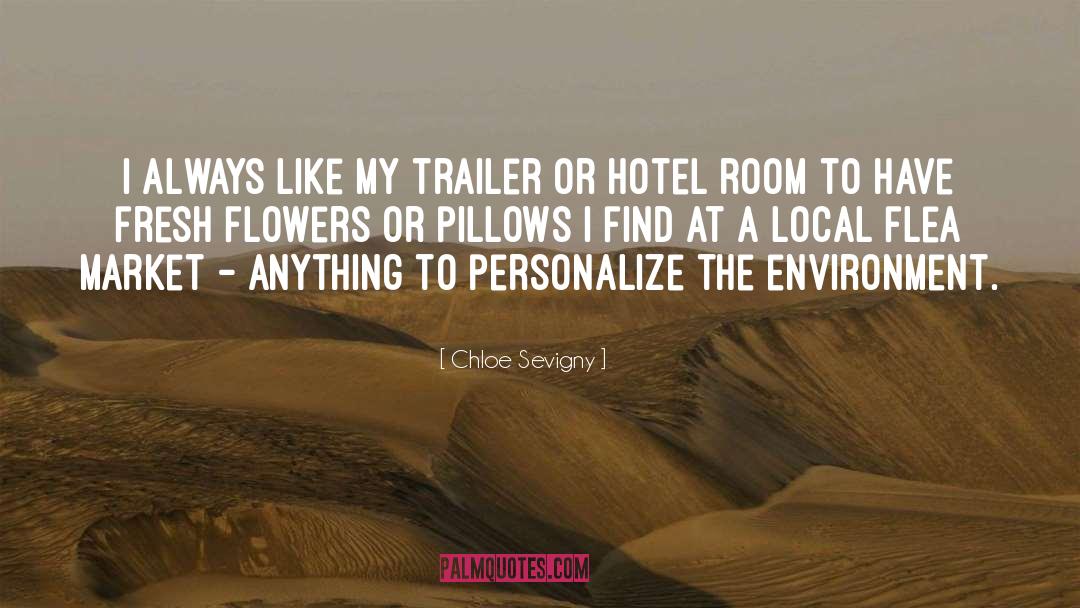 Hotel Rooms quotes by Chloe Sevigny