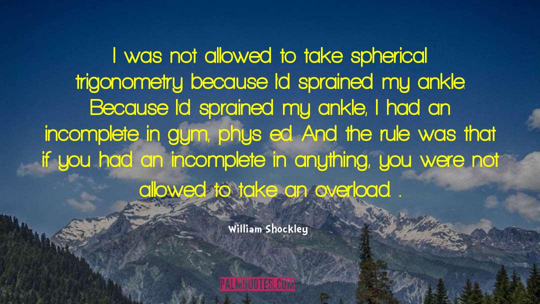 Hotness Overload quotes by William Shockley