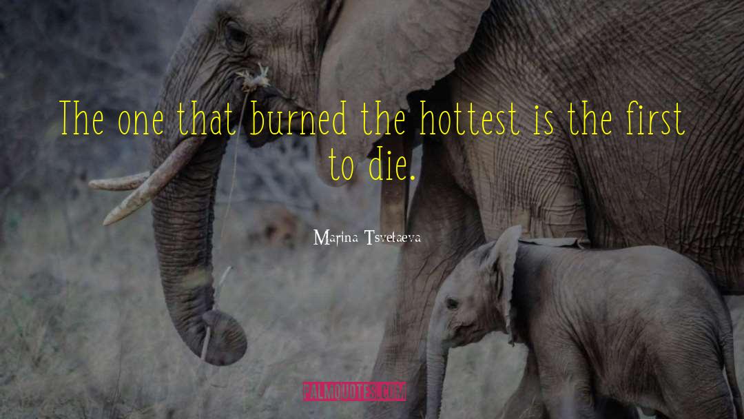 Hottest quotes by Marina Tsvetaeva