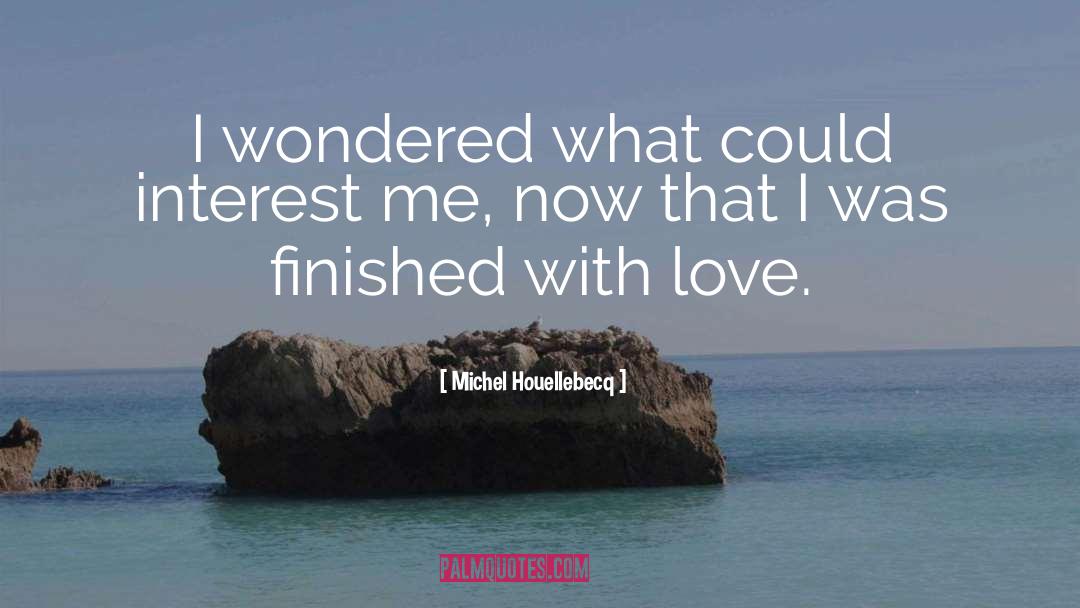 Houellebecq quotes by Michel Houellebecq