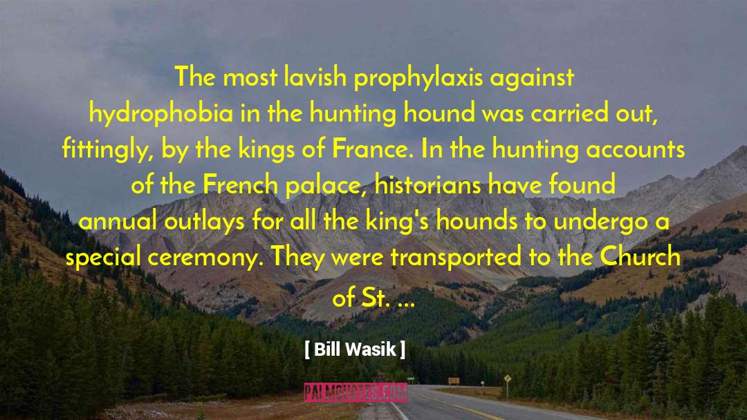 Hound Of The Baskervilles quotes by Bill Wasik