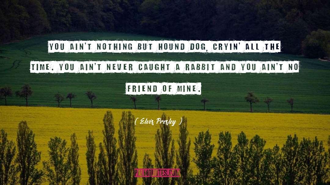 Hound quotes by Elvis Presley