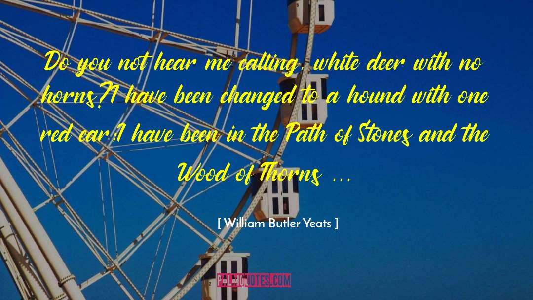 Hounds Of Hell quotes by William Butler Yeats