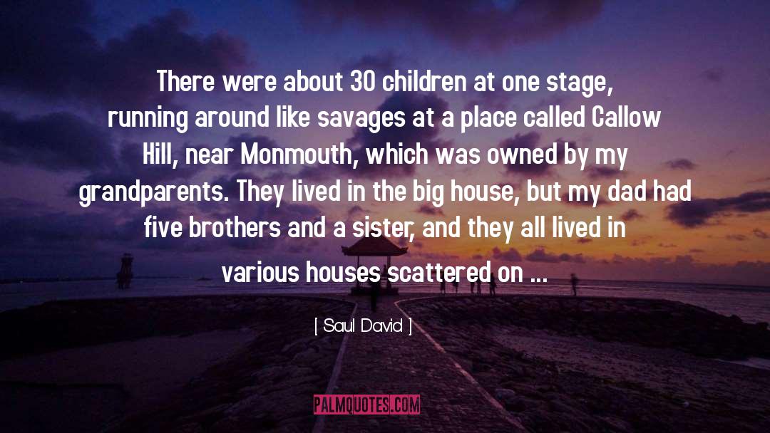 House At Pooh Corner quotes by Saul David