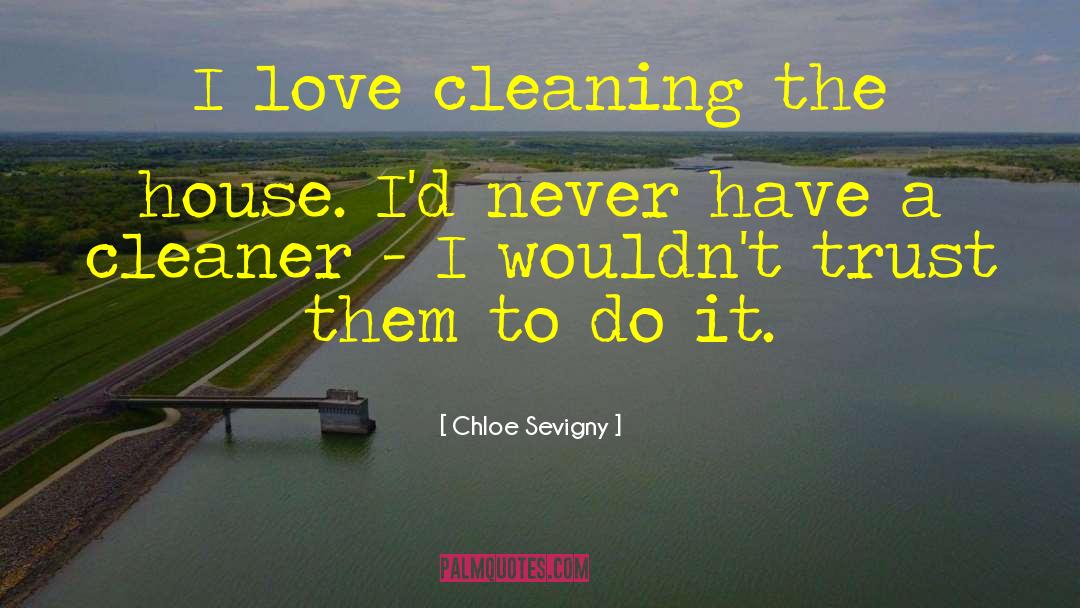 House Cleaning quotes by Chloe Sevigny