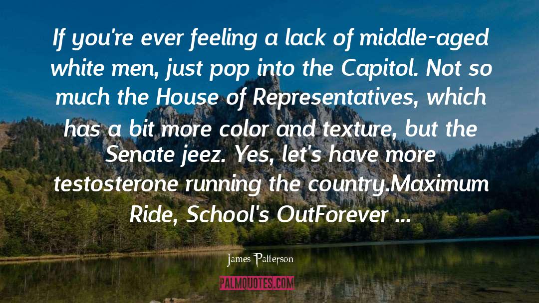 House Of Representatives quotes by James Patterson