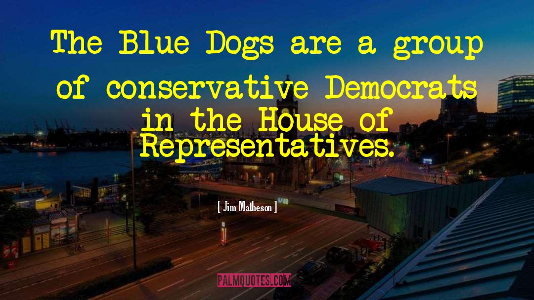 House Of Representatives quotes by Jim Matheson