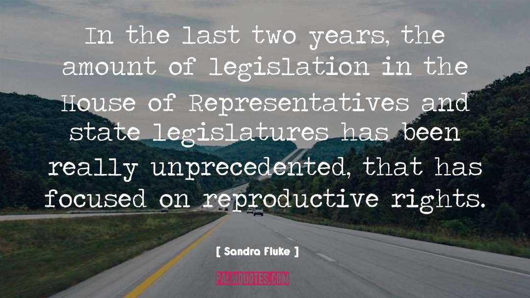 House Of Representatives quotes by Sandra Fluke