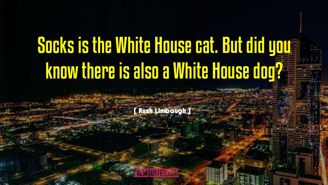 House Party quotes by Rush Limbaugh