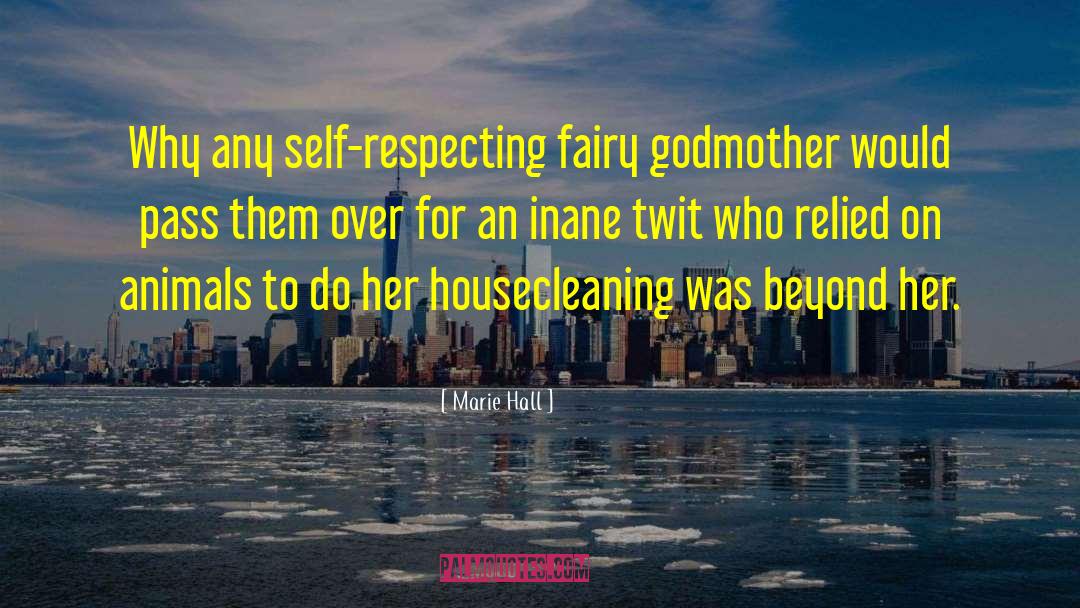 Housecleaning quotes by Marie Hall